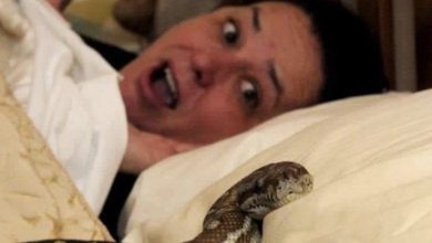 Photo of This Woman Slept With Her Pet Snake Every Night Until a Terrible Thing Happened