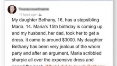 Photo of My Teen Daughter Destroyed Her Stepsister’s Birthday Dress — I Made Her Get Work To Pay Back $3000 For It