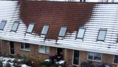 Photo of Several Residents Of A Dutch Village Reported An Unusual Thing At A Neighbor’s Home To The Authorities
