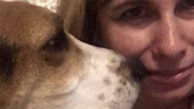 Photo of Dog refuses to stop sniffing owner’s nose – then she realises she’s trying to warn her