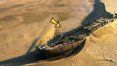 Photo of A Long-Lost Ship Full of Gold Was Discovered in The Desert