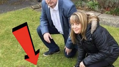 Photo of One morning they saw a mysterious pit forming in their garden…