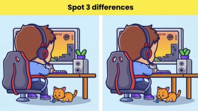 Photo of “Brain Teaser Challenge”: Spot 3 differences in 9 seconds!