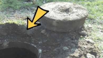 Photo of Young Boy Plunges into Dry Well – You Won’t Believe What He Uncovers at the Bottom!