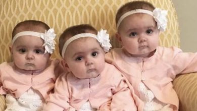 Photo of Instead of one child identical triplets were born: How they look like and live after 20 years