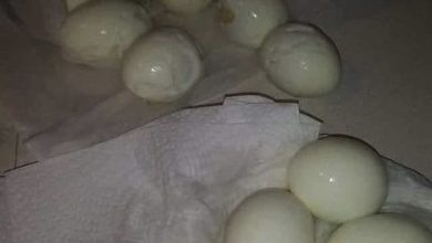 Photo of Chef’s Clever Hack for Perfectly Peeled Hard-Boiled Eggs