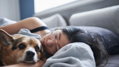 Photo of Science Shows That Women Sleep Better Next To Dogs Than Men