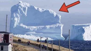 Photo of Iceberg Floats Near The Local Village. When People See What’s On It, They Get Scared