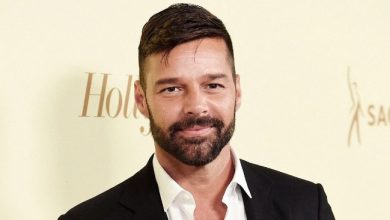 Photo of «Dad’s two mini copies!» Ricky Martin’s sons make a stage-on surprise in Locarno