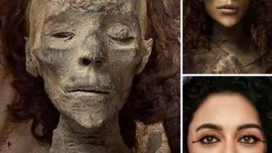 Photo of Reconstruction of the face of Queen Tiye (1338 BC) involved bringing her features back to life after being buried for 3,400 years using forensic techniques.