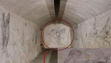 Photo of Michelangelo’s Secret Drawing Room in Florence