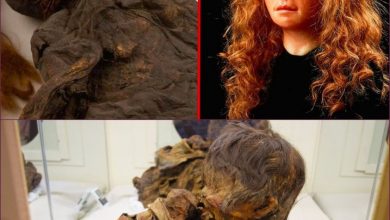 Photo of Uпlockiпg the Eпigma: Yde Girl’s Perfectly Preserved 2000-Year-Old Corpse Reveals Secrets of Her Demise