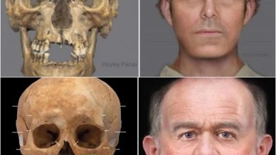 Photo of 600-Year-Old Skeleton found beneath Edinburgh School Playground