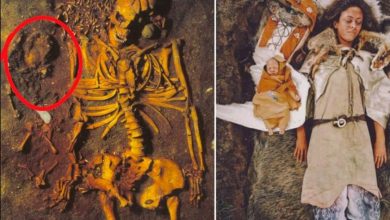 Photo of Ancient Love Resonates: Unveiling Tender Scenes from a 4000 BC Burial in Vedbaek, Denmark