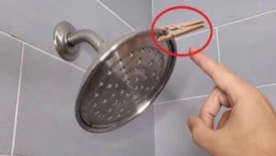 Photo of Here’s the Compelling Reason to Clip a Clothespin onto Your Shower