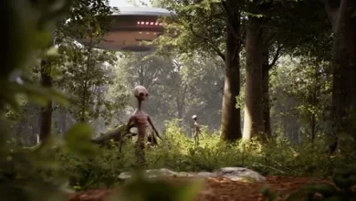 Photo of Group Captures Clear Photo of Giant Gray Alien in Forest