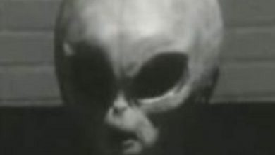 Photo of Beyond the Stars: Unraveling the Enigma of Extraterrestrial Entities with Massive Heads