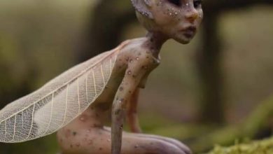 Photo of Tiny Humanoid Creatures: Discoveries and Scientific Aspects”