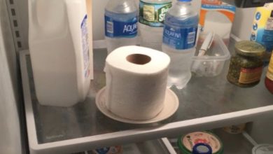 Photo of If You Find a Roll of Toilet Paper in Your Fridge, Here’s What It Means
