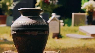 Photo of Grandson Believes His Grandmother Left Him Just an Urn of Ashes, Until the Urn Breaks One Day — Story of the Day