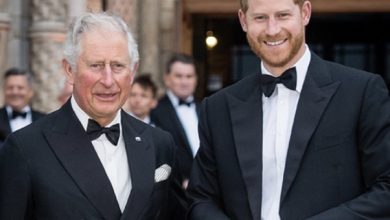 Photo of King Charles’ meeting with Prince Harry was kept short for one heartbreaking reason
