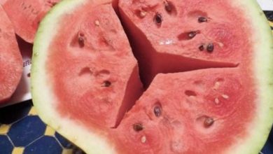 Photo of If you cut a watermelon and it looks like this, throw it away immediately
