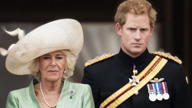 Photo of Prince Harry Chose ‘Not to Be in the Same Room with His Stepmother’ While Visiting His Ailing Father, Her Friend Claims