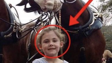 Photo of The father takes a picture of his daughter next to a horse. On closer inspection, he cannot believe what he sees