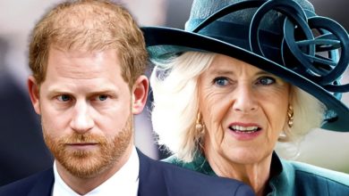 Photo of Harry Chose Not to Stay in the Same Room with Camilla While Visiting Ailing Dad — Inside Their Relationship