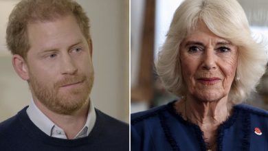 Photo of Queen Camilla ‘outraged’ after Prince Harry’s visit to see his father for “loving son PR stunt”, claims source