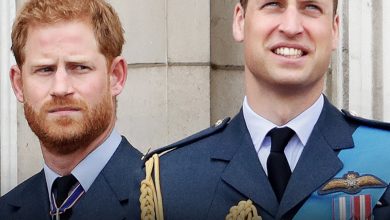 Photo of Is There Still Hope for Prince Harry & Prince William’s Relationship Years Into Their Rift?
