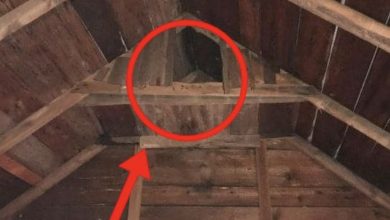 Photo of Strange small “room” in my ancient barn’s top