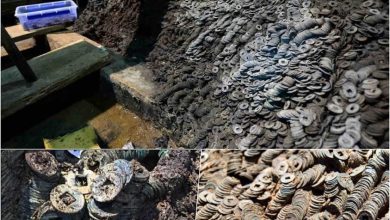 Photo of Archaeologists have discovered a burial site in China containing a remarkable collection of 2,000-year-old copper coins, weighing a staggering 10 tonnes