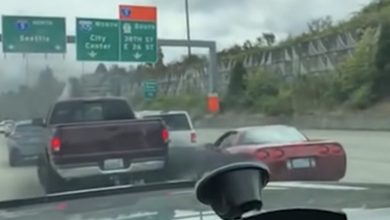 Photo of Corvette Flips Off Truck Driver And Pays The Price