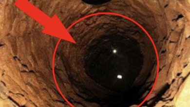 Photo of 500 years old well found under the floor in the house, You wont believe what came out of it..?? For More Check Comment Below