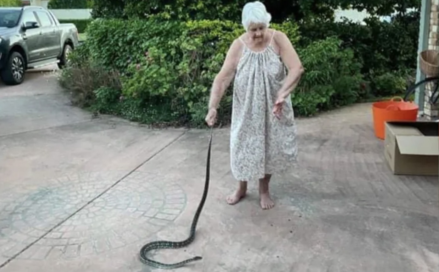Aussie woman, 80, cops three ‘nasty’ bites freeing puppy from python ...