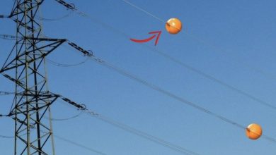 Photo of Why You See Colorful Balls on Power Lines