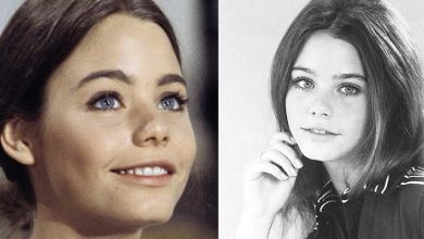 Photo of Susan Dey’s life after hit TV series “The Partridge Family” and her crush on colleague David Cassidy back in the day