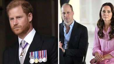 Photo of Prince William’s Response to Prince Harry: A Royal Expert Weighs In