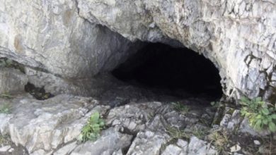 Photo of For 25 years, a man has been living alone in a cave with his dog. Take a look inside the cave now!