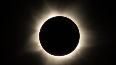 Photo of Upcoming Solar Eclipse Could Lead to Over 1,000 Car Crash Deaths, Study Warns