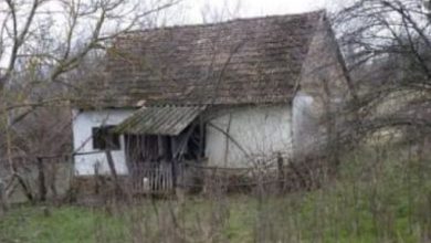 Photo of The young family did not have money for an apartment. They bought an abandoned house and now live like in a fairy tale!