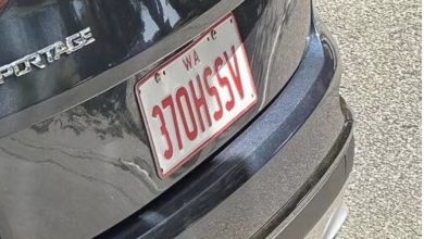 Photo of This Clever License Plate Is Making Waves for Surprising