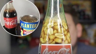 Photo of Southern Tradition: Why People in the South Are Adding Peanuts to Coke