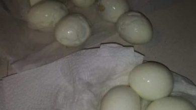 Photo of Chef’s Clever Hack for Perfectly Peeled Hard-Boiled Eggs