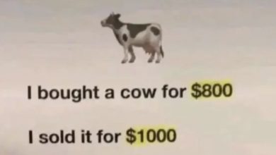 Photo of Take a Seat, This Viral Cow Math Puzzle Will Take Your Brain for a Ride