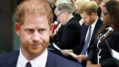 Photo of Prince Harry Makes Royal History as a Photo of His Official Document Is Revealed