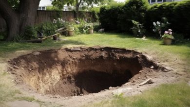 Photo of I Returned from Vacation to Discover a Massive Excavation in My Backyard – I Hesitated to Call the Authorities Until I Noticed What Was at the Base