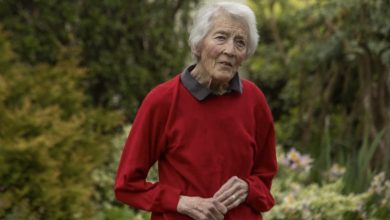 Photo of Neighbors’ Teenagers Vandalize Elderly Woman’s Garden, Her Unforgettable Revenge