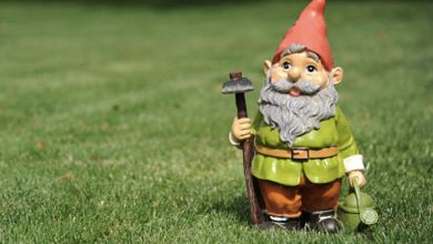 Photo of My Sister-in-Law Gifted Me a Lawn Dwarf for My Birthday – Shortly After, a Woman Alleged It Was Pilfered from Her Property